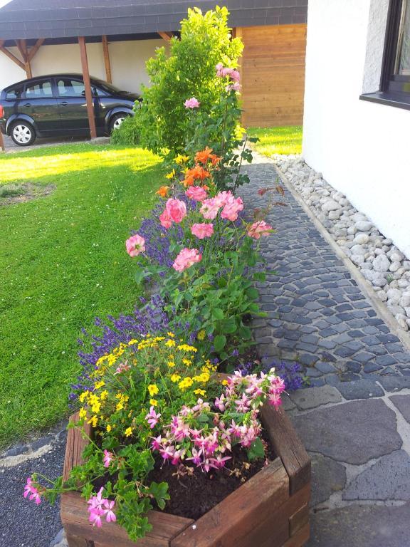 Ferienwohnung Evangeline Borsch Zell an der Mosel Exterior foto